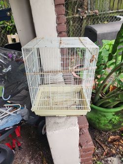 Small Bird Cage