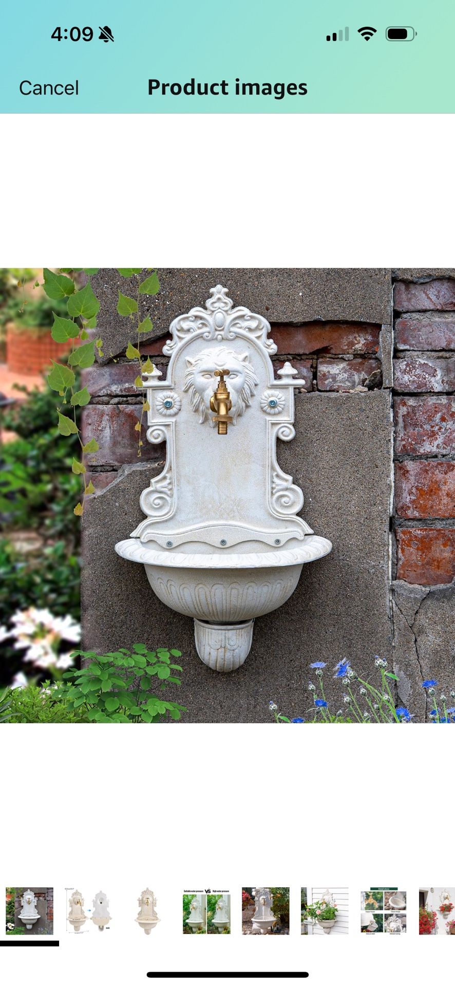 Cast Iron Lion Head Mounted Garden Sink