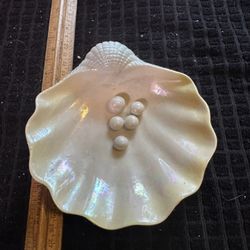 Vintage Shell Dish