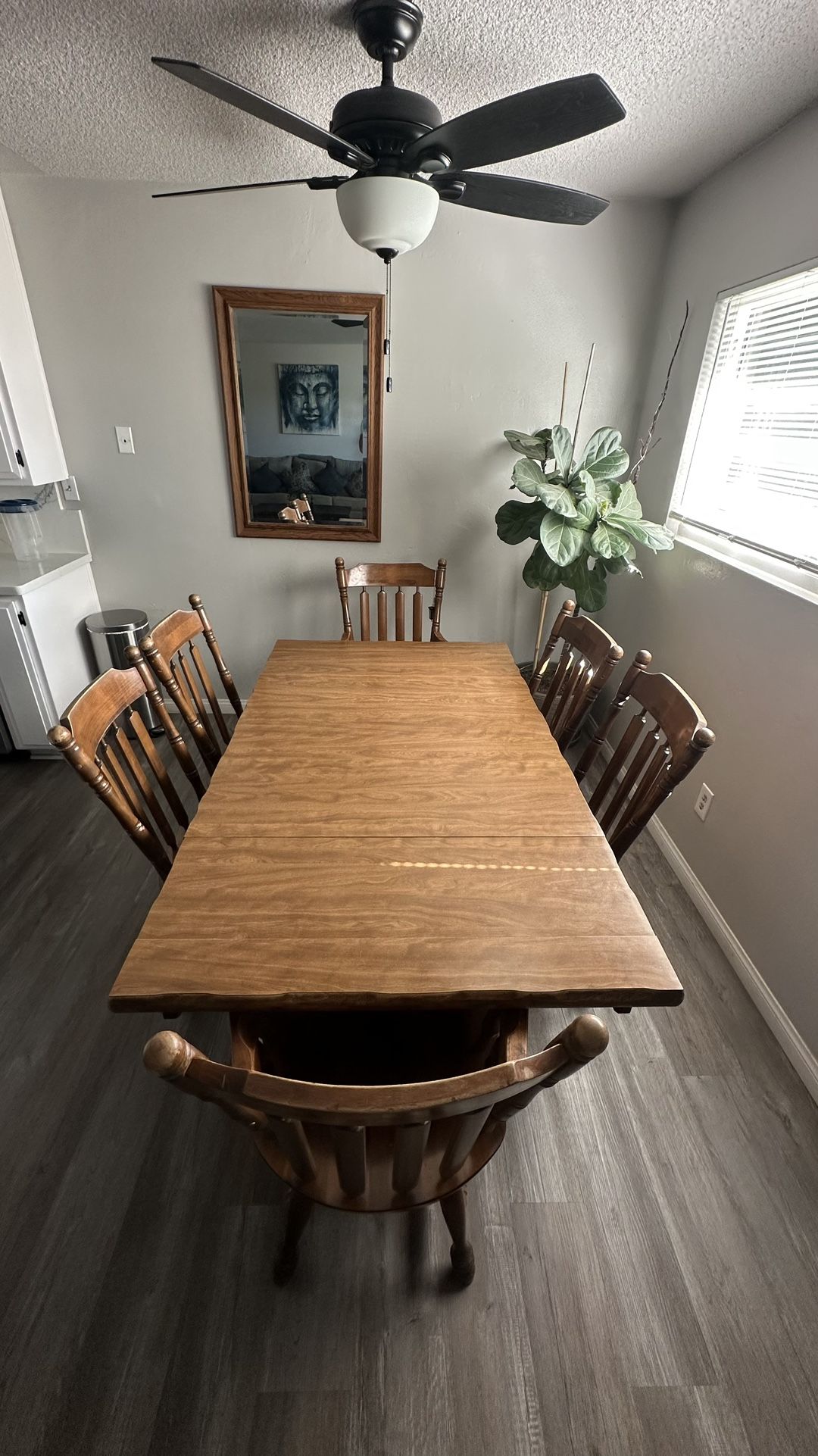 Set Dinning Table