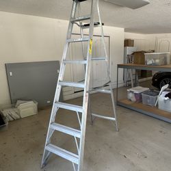 8 Foot Ladder