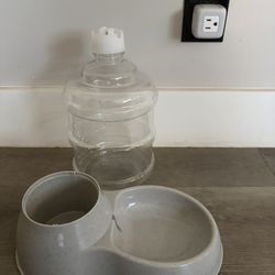Cat Water Bowl 