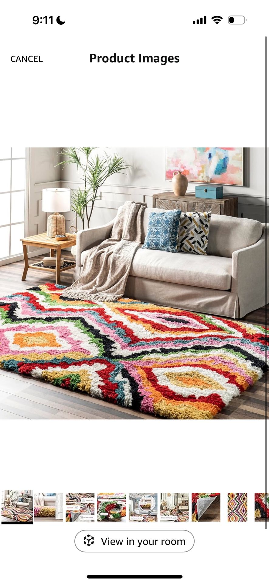 6x9 Area Rug