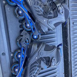 Schwinn rollerblades