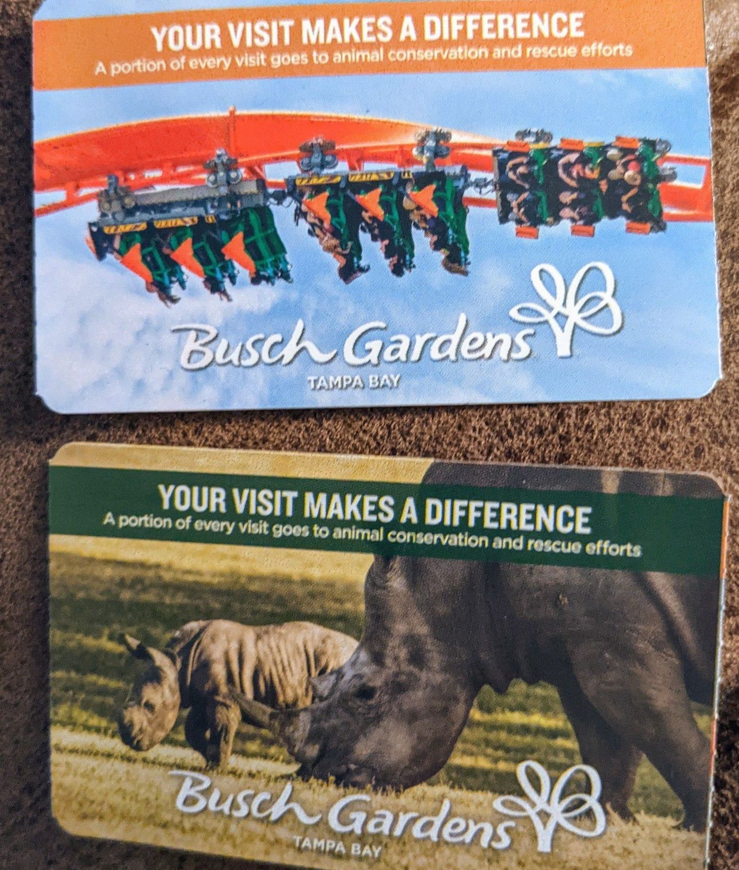 Busch Gardens Tampa Florida