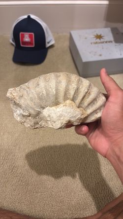 Fossil