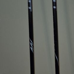 Ski Poles