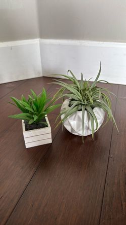 Fake Plants (set of 2)