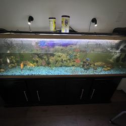 120 Or 220  Gallons Large Fish Tank  “MOVING “ Need It Gone 
