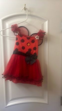 3T/4T costume for girl