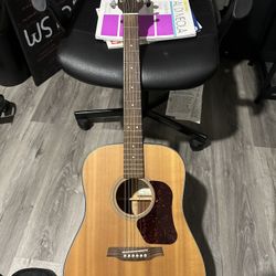 Walden D550 Acoustic Guitar 