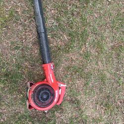 Homelite blower