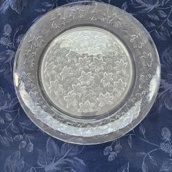 Vintage Princess House Dinner Plates