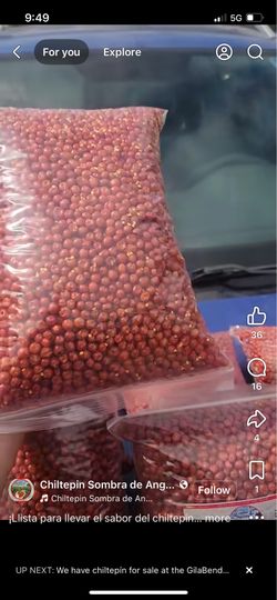 Chiltepin Seco