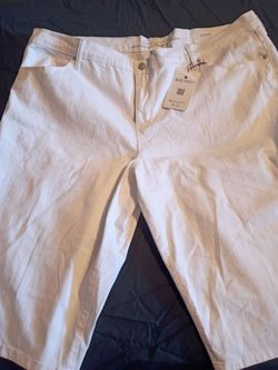 Brand New -- Plus Size 22