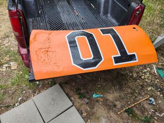 1969 charger door