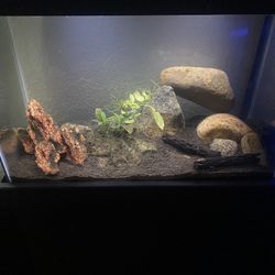 145$ Fish Tank 20gallon