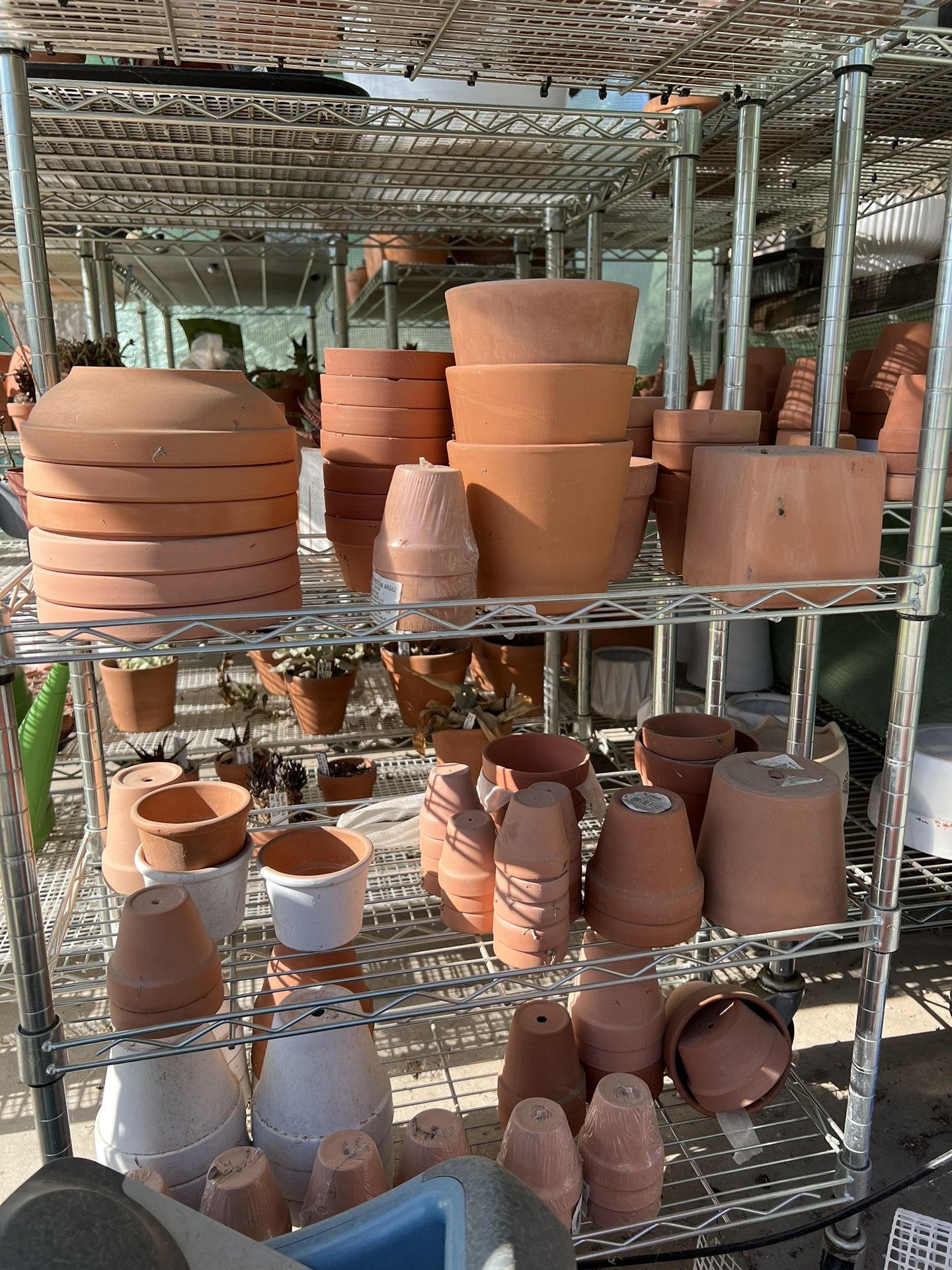 Terracotta Pots