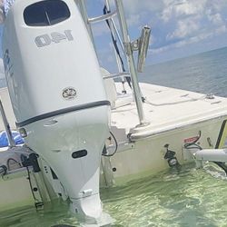 Sea Fox 19ft Flats 