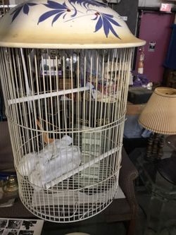 Bird cage