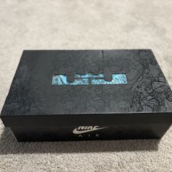 Size 11 Lebrons 
