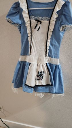 Teens Alice In Wonderland Halloween Costume
