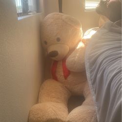 Teddy Bear On Sale Don’t Need It 