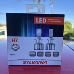 H7 LED headlights
