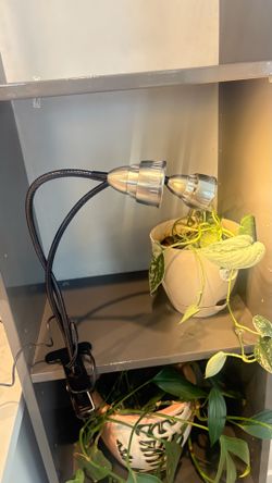 Clip on plant grow light with timer