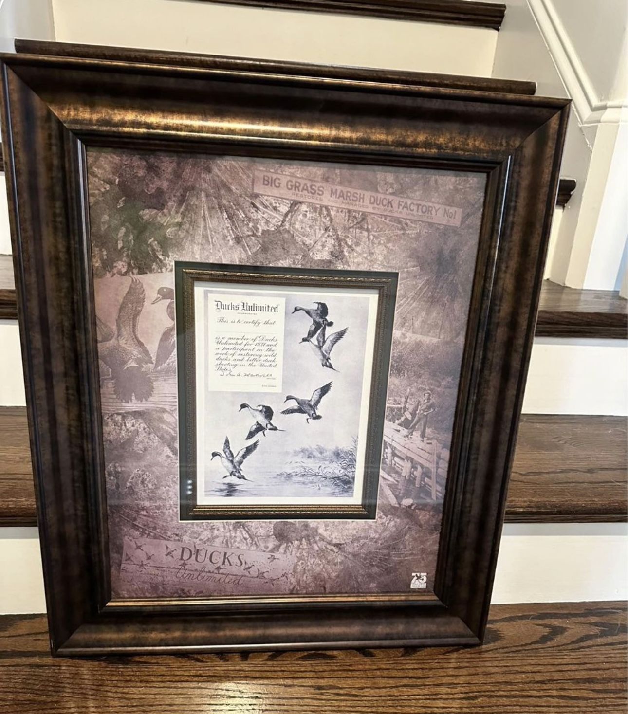 Ducks Unlimited Print