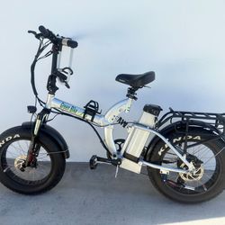 Green bike fat tire Ebike/ electric bike