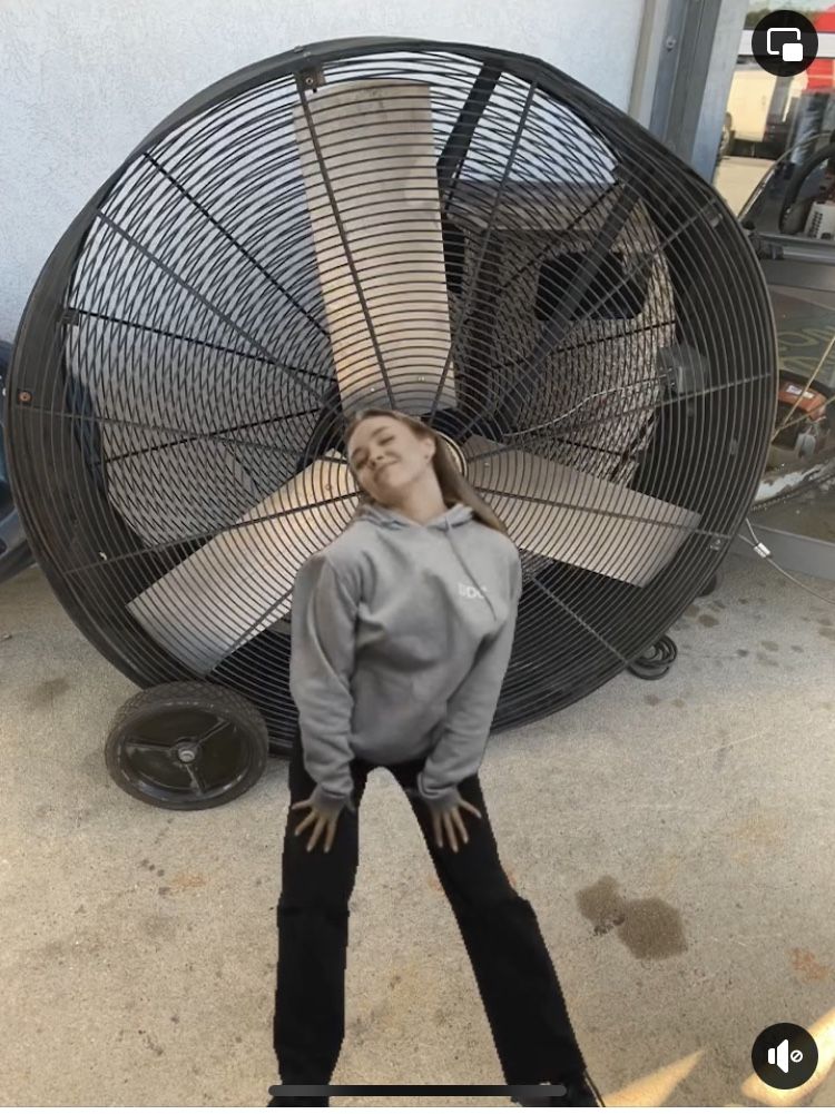 TPI Industrial Fan