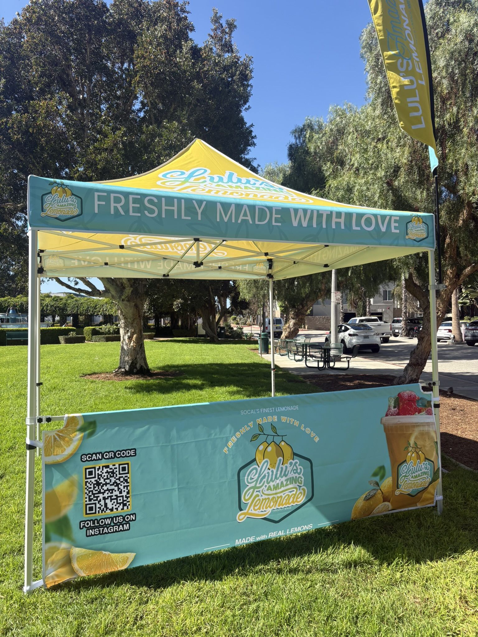 Custom Canopy Tent 10’ X 10’ Or 10’ X 20’