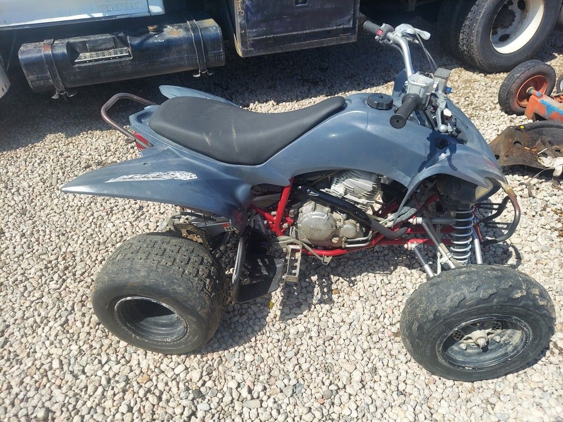2008 Yamaha Raptor 250