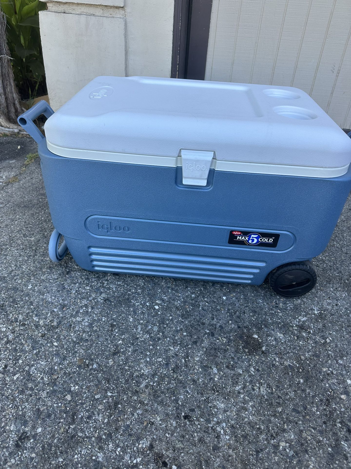 Igloo Blue Cooler