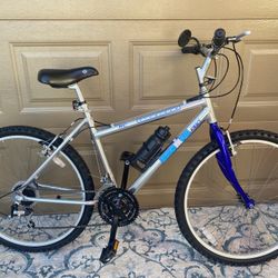 Mountain bike