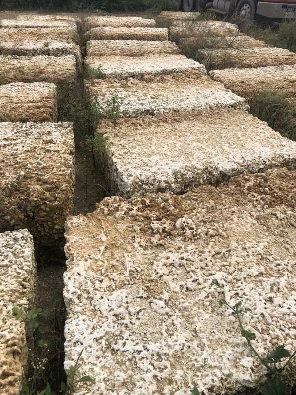 Coral rocks, limestone, waterfalls and Rockwalls for Sale ...