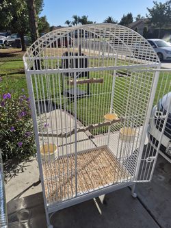 Bird  cage