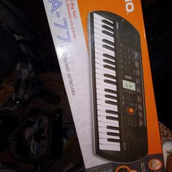 Casio Sa-77 Mini Portable Keyboard. $45