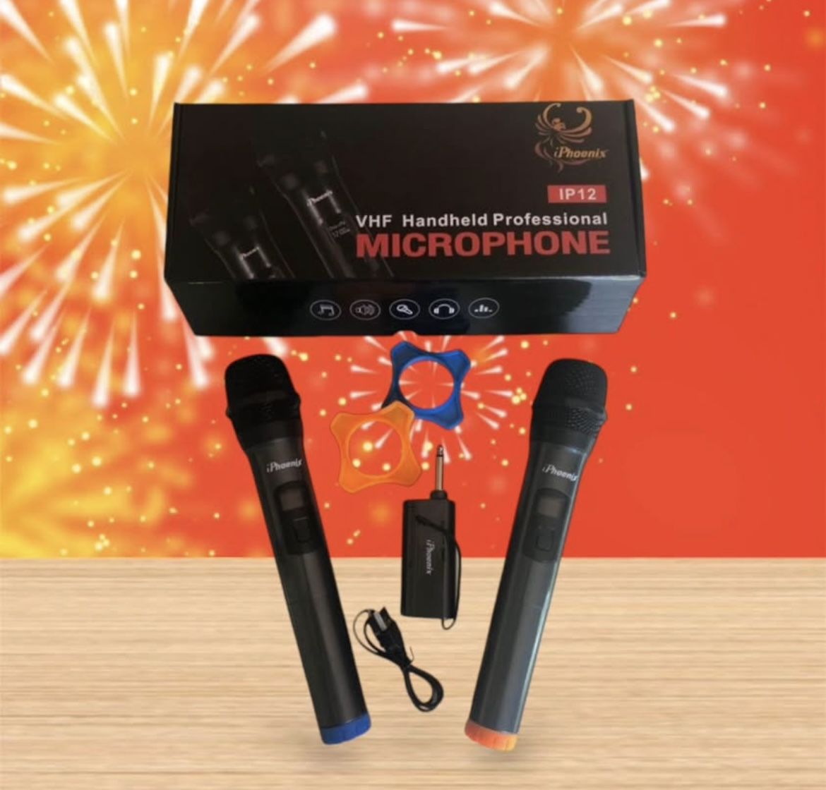 Wireless Microphone with Receiver and Antenna for Karaoke Business Meeting Portable microphone