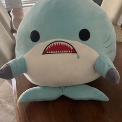 Shark Squish mellow 