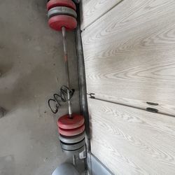 Dumbbell/Barbell Free Weights