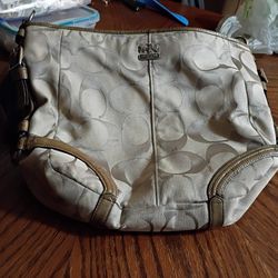 Mountain West Blue Purse and a Coach Chelsea Bag