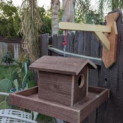 Bird House 