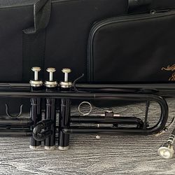 Trumpet with carry case in excellent condition, complete with mouthpiece. $85