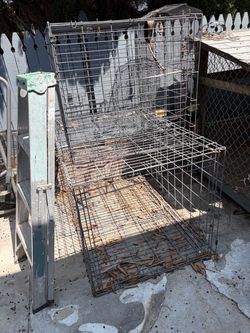 XXL and XL dog cages + huge outdoor kennel house
