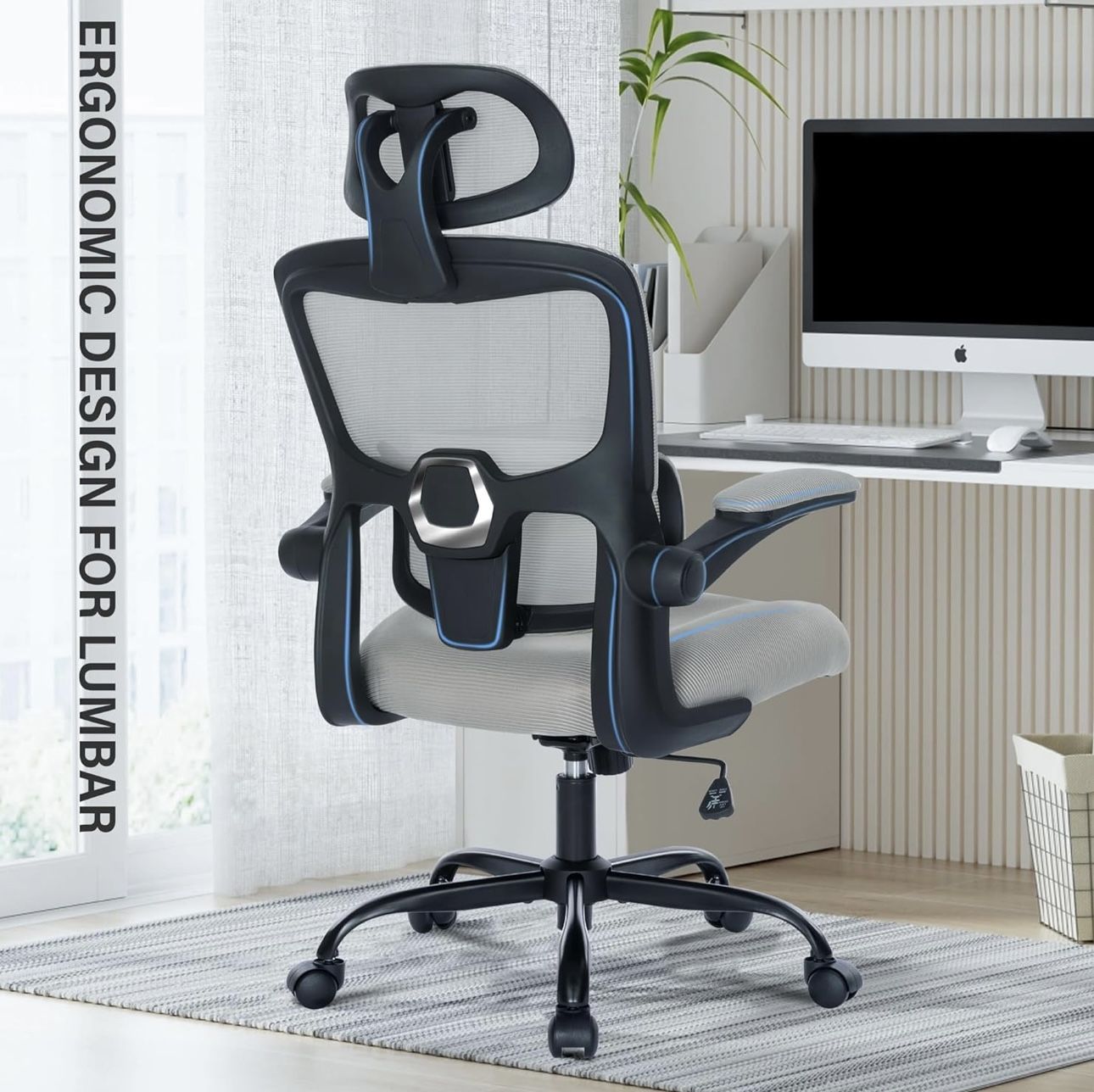 Ergonomic Office Chair
