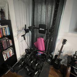 Home Gym Equipment(Pull Up Bar/Dip Station/ Dumbbell)