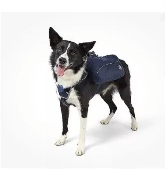 The Cuddle Collab Backpack Dog Harness, Large