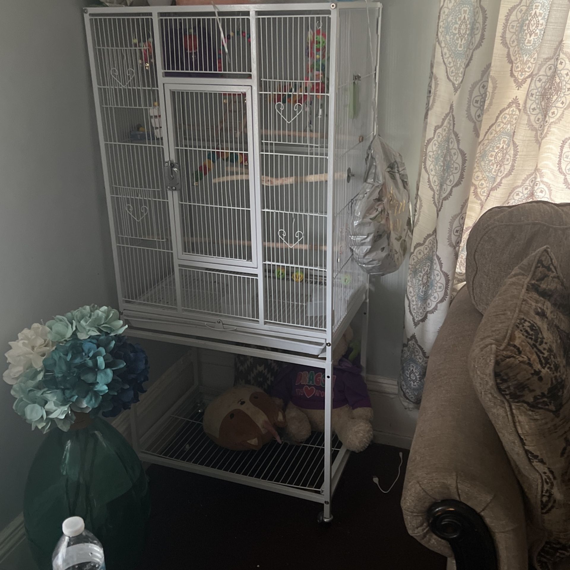 Bird Cage